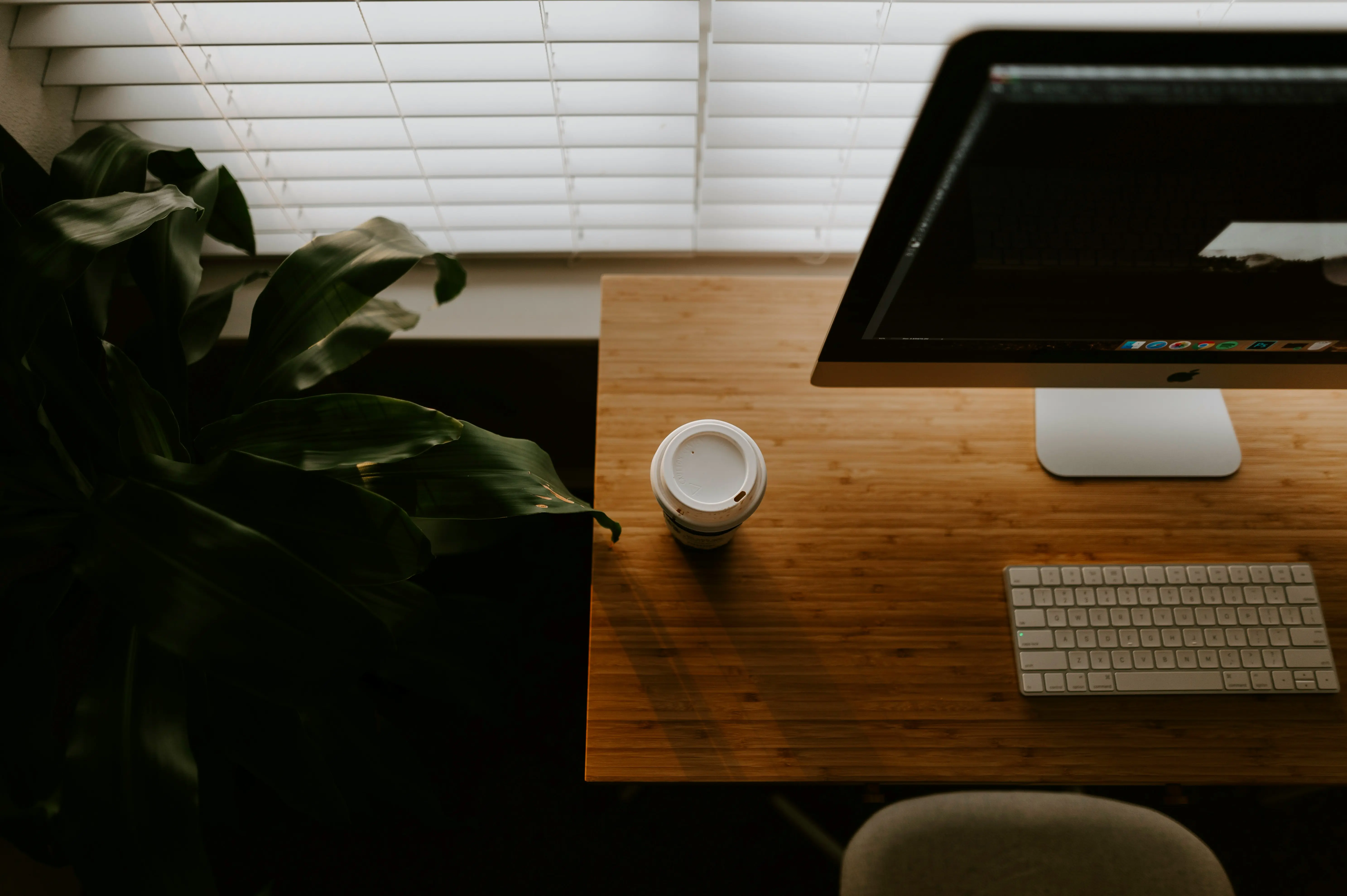 Samanta Gades unsplash